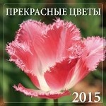 Прекрасные цветы. Календарь настенный на 2015 год