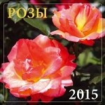 Розы 2015
