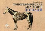 Топографическая анатомия лошади