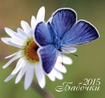 Календарь 2015 (на скрепке). Бабочки
