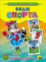 ОБУЧАЮЩИЕ КАРТОЧКИ. ВИДЫ СПОРТА