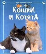 Кошки и котята