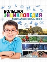 Большая энциклопедия для младших школьников
