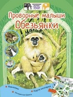 Проворные малыши. Обезьянки