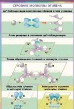 Строение молекулы этилена.(1)