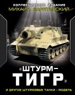 "ШтурмТигр" и другие штурмовые танки. Коллекционное издание (+ игрушка)