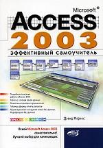 Microsoft Access 2003. Эффективный самоучитель