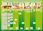 Способы первичной обработки продуктов растительного происхождения / Способы первичной обработки продуктов животного происхождения. Плакат