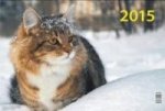 Пушистый кот. Календарь на 2015 год. Настенный трехблочный квартальный календарь с курсором