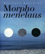 Morpho menelaus