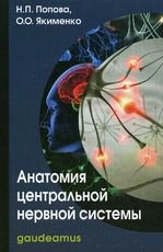 Анатомия центральной нервной системы