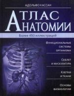 Атлас анатомии