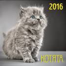 Котята. Календарь настенный перекидной на скрепке на 2016 год