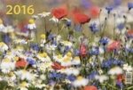 Летние цветы. Календарь настенный квартальный трёхблочный на 2016 год