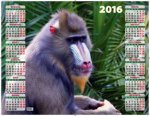Год обезьяны. Вожак стаи. Календарь настенный листовой на 2016 год
