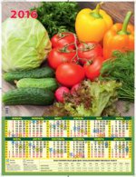Сад и огород. Лунный календарь. Календарь настенный листовой на 2016 год
