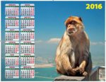 Символ года. Планета обезьян. Календарь настенный листовой на 2016 год