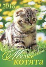 Милые котята. Календарь настенный перекидной на пружине на 2016 год