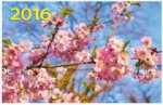 Весенние цветы. Календарь настенный квартальный трехблочный на 2016 год
