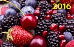 Сладкая ягода. Календарь настенный квартальный трехблочный на 2016 год