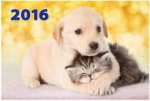 "Котёнок и щенок". Настенный трехблочный квартальный календарь с курсором в индивидуальной упаковке (Европакет)