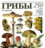 Грибы. 250 видов съедобных, ядовитых и лечебных грибов