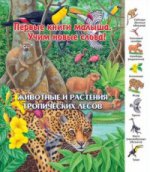 Животные и растения тропических лесов