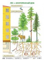 Лес - многоэтажный дом. Плакат