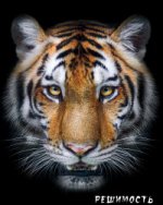 Блокнот настоящего хищника (Тигр)