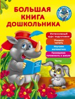 Большая книга дошкольника