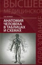 Анатомия человека в таблицах и схемах. Уч. пособие
