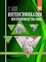 Интенсификация воспроизводства овец. Гриф МО РФ