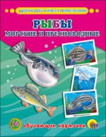 Обучающие карточки. Рыбы морские и пресноводные