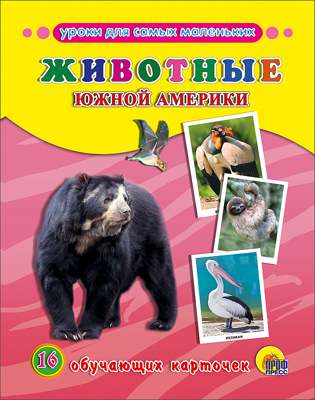 ОБУЧАЮЩИЕ КАРТОЧКИ. ЖИВОТНЫЕ ЮЖНОЙ АМЕРИКИ