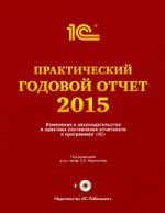 Практический годовой отчет за 2015 год