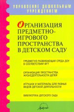 Организация предметно-игрового пространства в детском саду