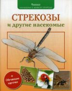 Стрекозы и др.насекомые 3+
