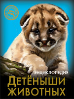 ЭНЦИКЛОПЕДИЯ. ХОЧУ ЗНАТЬ. ДЕТЁНЫШИ ЖИВОТНЫХ
