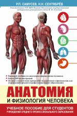 Анатомия и физиология человека. Учебное пособие