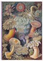 Красота форм в природе. Э. Геккель