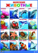 Морские животные. Плакат