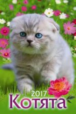 "Котята" (320*480).Календарь настенный перекидной с ригелем на 2017 год. В индивидуальной упаковке (Европакет)