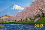 "Цветение сакуры". Настенный трехблочный квартальный календарь 2017 г. с курсором в индивидуальной упаковке (Европакет)