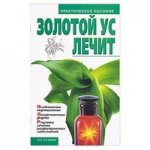 Золотой ус лечит