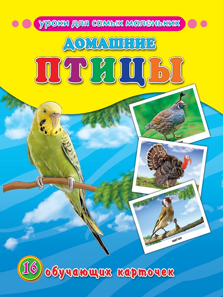 ОБУЧАЮЩИЕ КАРТОЧКИ. ДОМАШНИЕ ПТИЦЫ