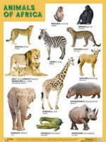 Плакат ANIMALS OF AFRICA (Животные Африки)