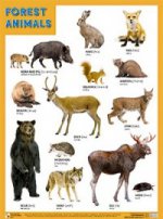 Плакат Forest animals (Лесные обитатели)