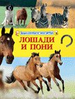 Лошади и пони. Энциклопедия для детей