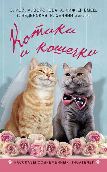 Котики и кошечки