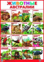 Плакат. Животные Австралии (550х770)